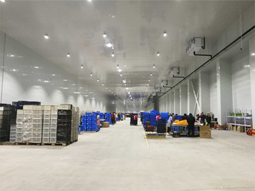 建设8000平米电商物流低温冷藏库费用造价是多少？