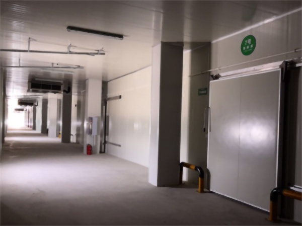 建一个5000立方香蕉冷藏冷库大概要多少钱？