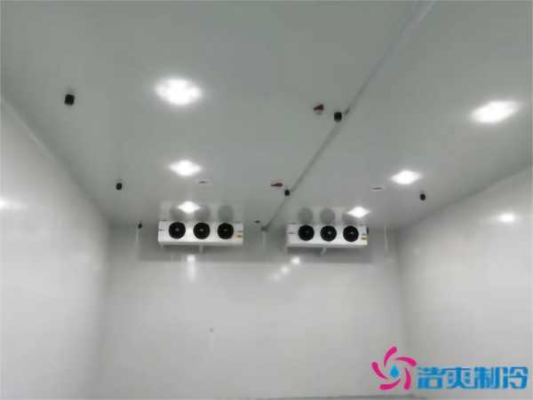 建造彩椒保鲜冷库安装费用需要多少钱？