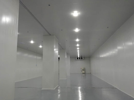 建设大型食品冷链物流冷藏库费用一般是多少？