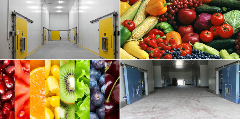 保鲜冷库和气调冷库哪个储存水果效果较好？