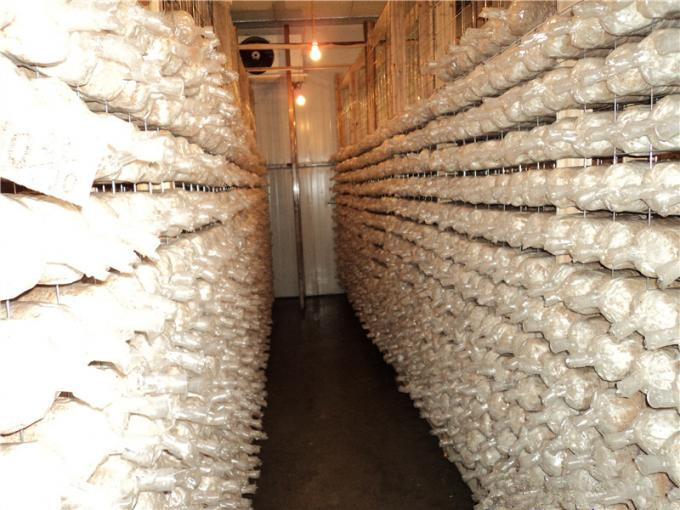 建一个100平方香菇冷库全套要多少钱？