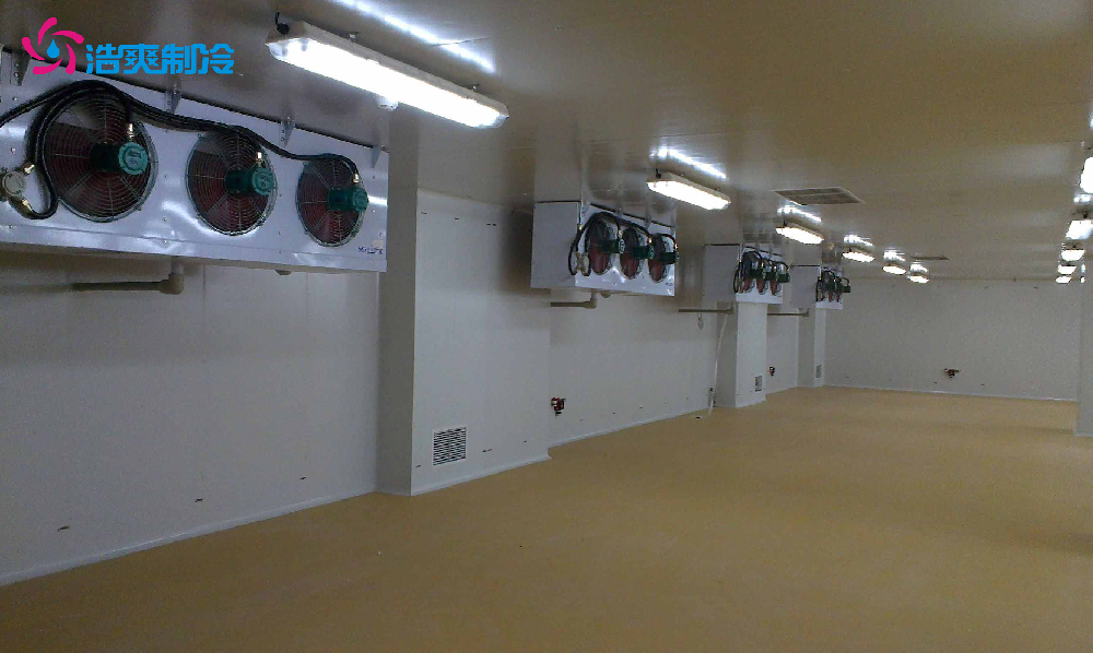 2000平方蔬菜保鲜冷库设计方案及储存方法