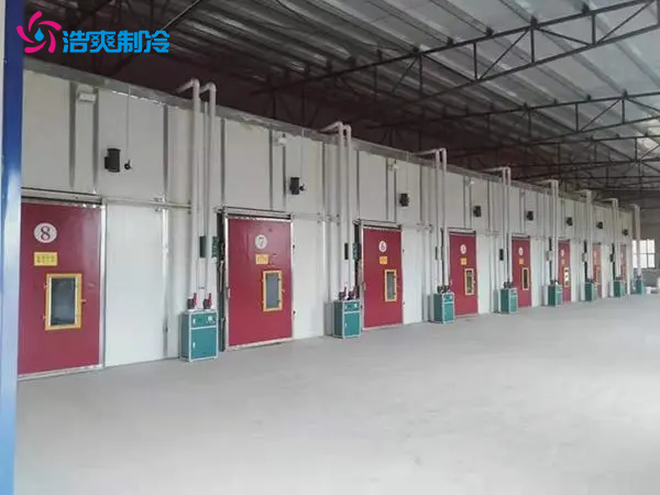 建造300立方米水果气调保鲜冷库大概多少钱？