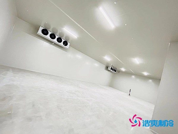 图为冷库建造完工内部实拍