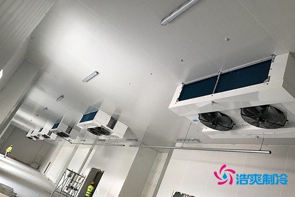 周黑鸭食品冷库内景实拍