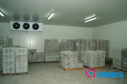 图示：气调库放置的柑橘