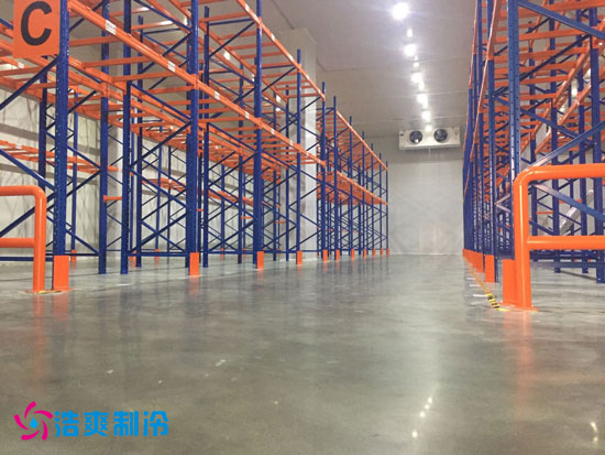 图为保鲜库内部货架实拍图