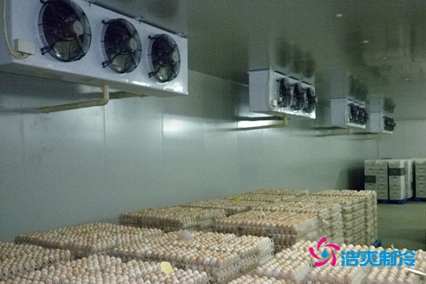 图为神地鸡蛋冷库内部实拍