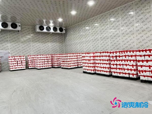 建一个冷库大概需要多少钱