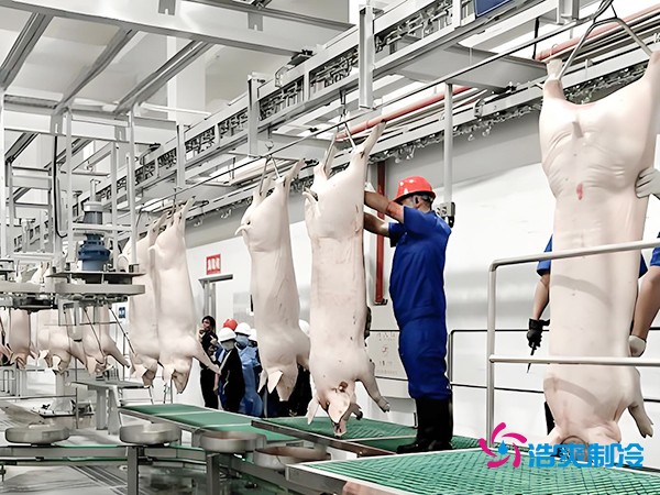 猪肉冷库冷藏保鲜方法