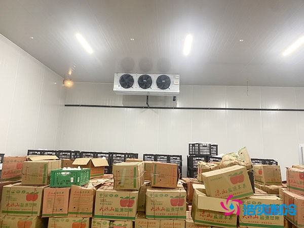 建设大型冷库造价成本需要多少资金投入呢？