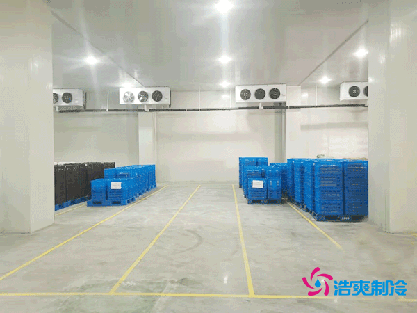 建造一座5000平方米的冷藏库造价需要多少资金？