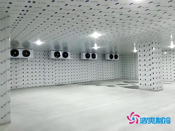 100平方冷冻库设计安装造价多少钱？