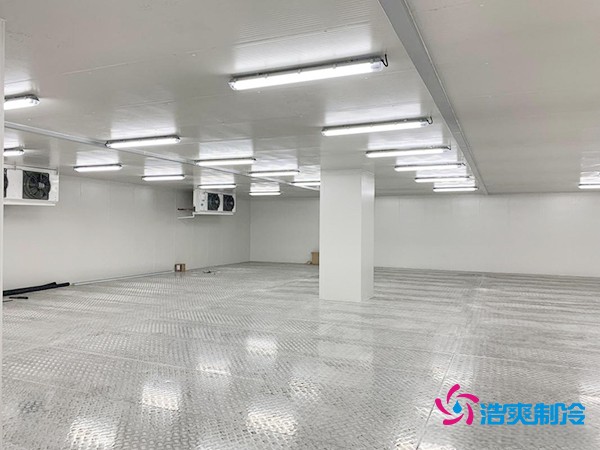 建造200吨冷冻肉低温冷库的造价详解