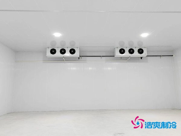 大约需要多少资金才能安装一座小型移动式冷库？