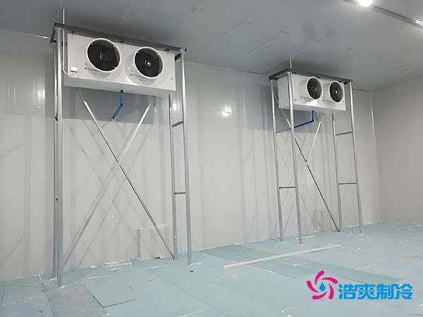 大约需要多少资金才能安装一座小型移动式冷库？