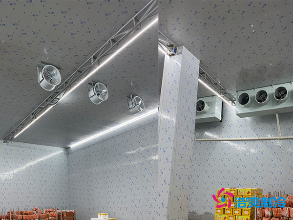 2000平冷库造价揭秘：这些因素让你多花几十万！