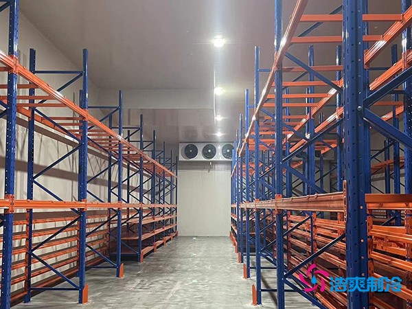 建中型冷库要花多少钱？这些关键因素你必须知道-浩爽制冷