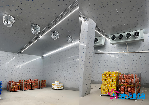 1000吨果蔬保鲜库造价揭秘，节省成本就靠这几点！