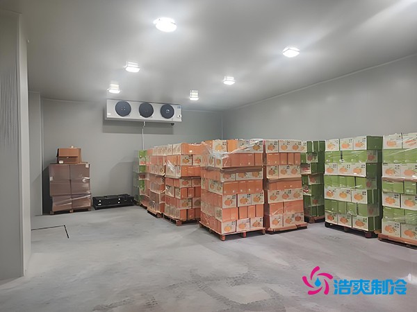 1000吨果蔬保鲜库造价揭秘，节省成本就靠这几点！