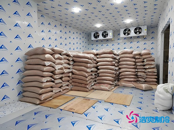 2万起建种子冷库？这些因素让造价翻倍！