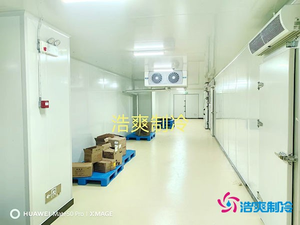 建造一个小型红酒冷库的大致造价费用多少钱？