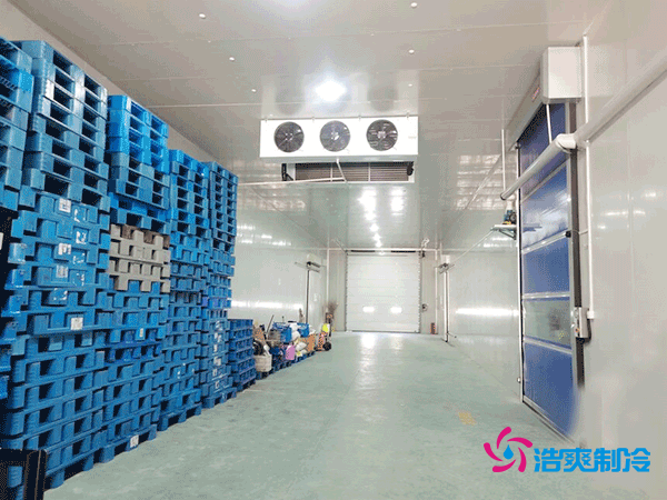 冷库造价悬殊？揭秘每平米价格背后的秘密！