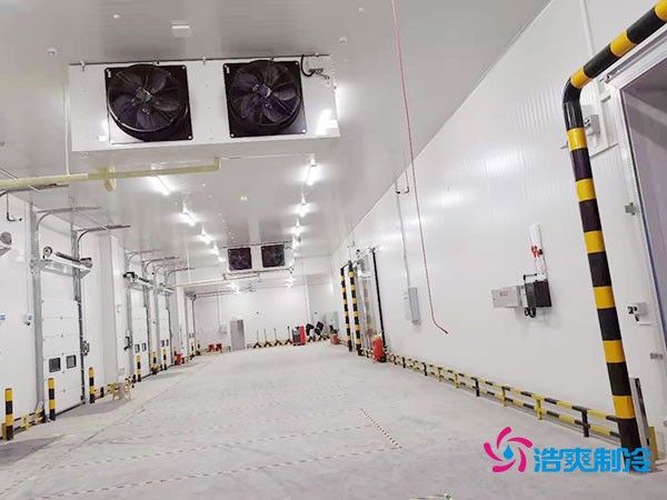 冷库造价悬殊？揭秘每平米价格背后的秘密！