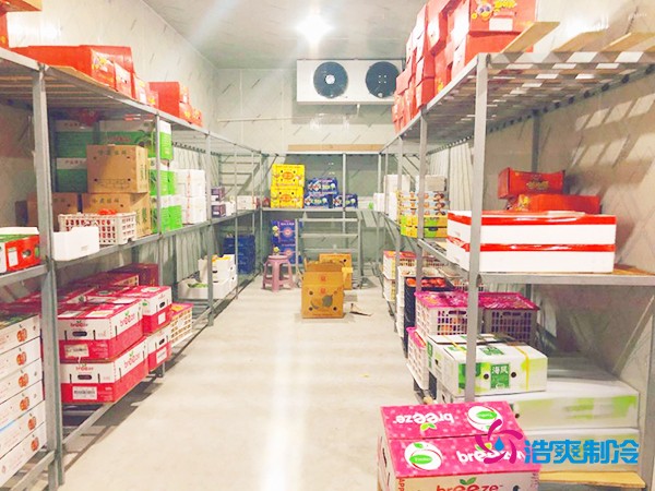 5吨水果需要多大冷库？答案出乎意料！
