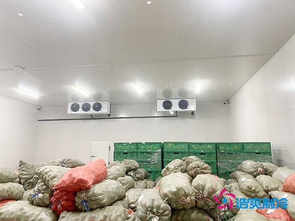 5吨水果需要多大冷库？答案出乎意料！