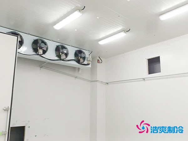 上海小型冷库造价揭秘！2万起真的靠谱吗？