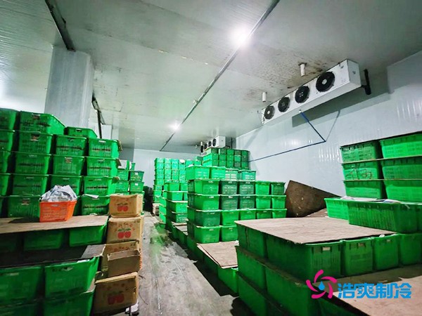 水果保鲜冷库建造价格每平米多少钱？