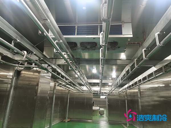 肉类冷库建造费用及设计解析