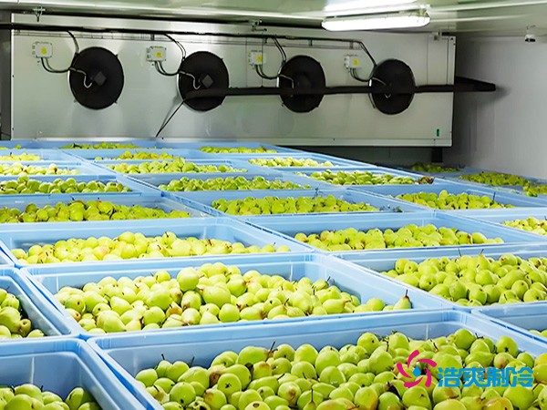 气调保鲜冷库造价