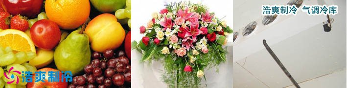 气调保鲜冷库