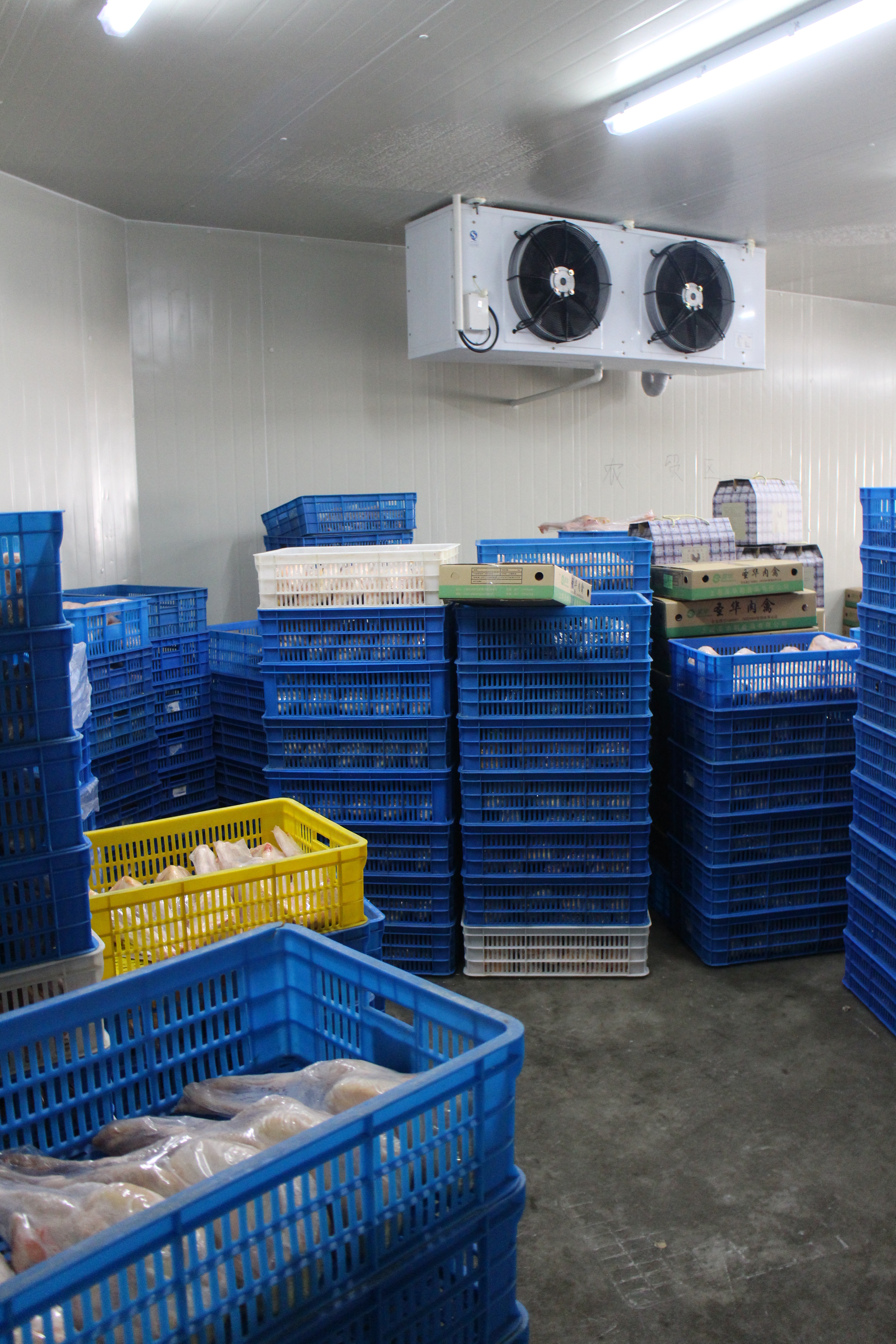 1000平冷冻库-18~-25℃