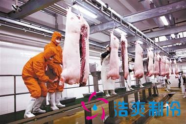 3000立方冻肉冷库设计造价费用是多少？由于国家对冷链物流的重视，冷链物流行业的发展逐渐增长趋势，冷链物流也正在慢慢改变人们的生活。