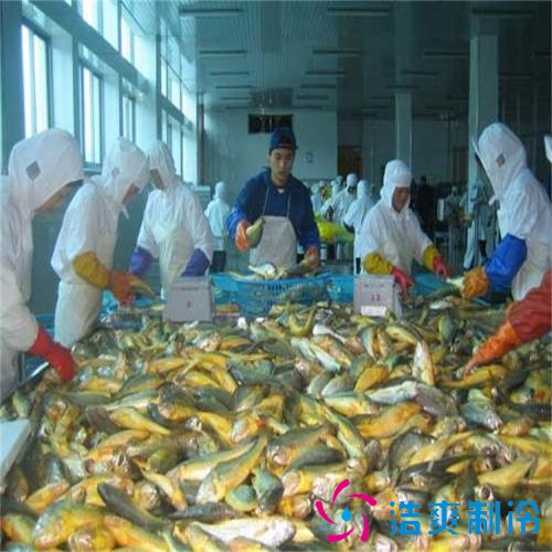 1000平米海鲜速冻冷库