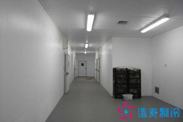 预建1000吨果蔬冷库设计规划，冷库价格多少钱