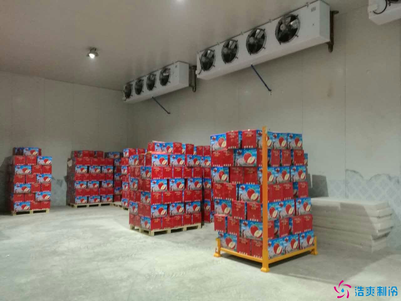 10万斤水果冷库