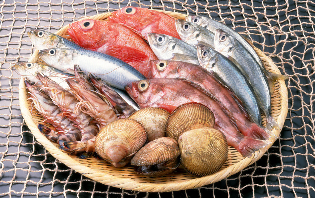 冰鲜海鲜冷库造价，5000平方米冷冻库总投资多少