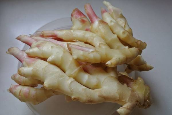 3000吨鲜姜冷库前期规划，冷库造价预算多少