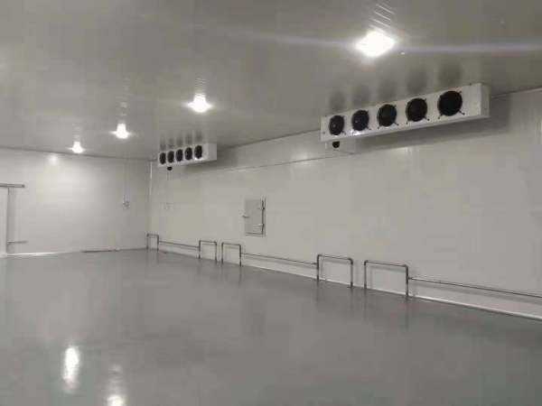 1000平方冷库造价