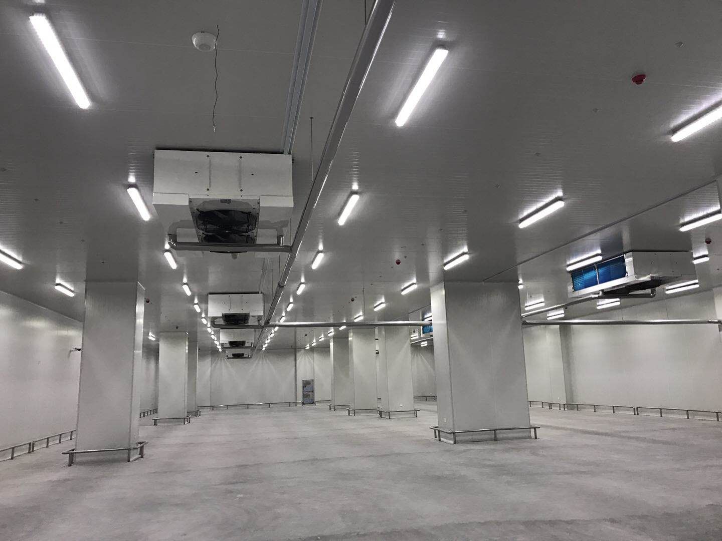 农贸市场建造2000平米食品冷库，冷库造价有哪些费用