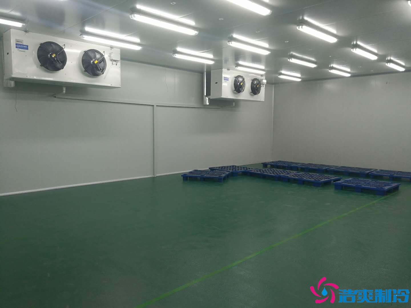 沈阳三生制药3000平米低温（冷冻、冷藏）医药物流冷库工程案例