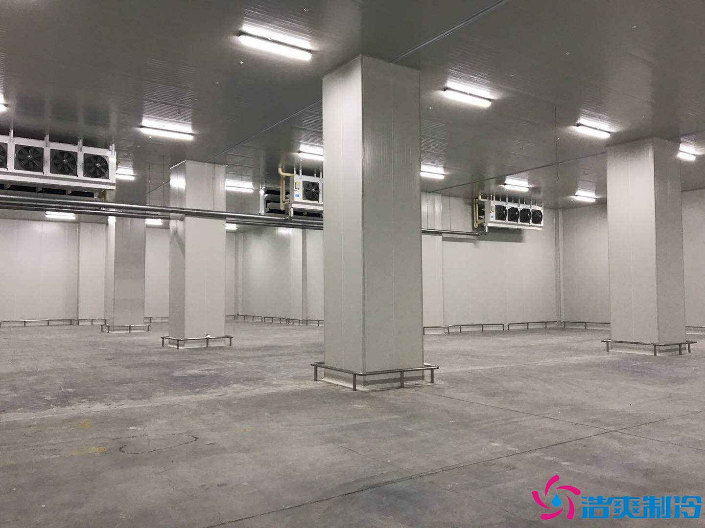 10000平米大型海鲜冷库（水产冷冻库）冷库建造方案