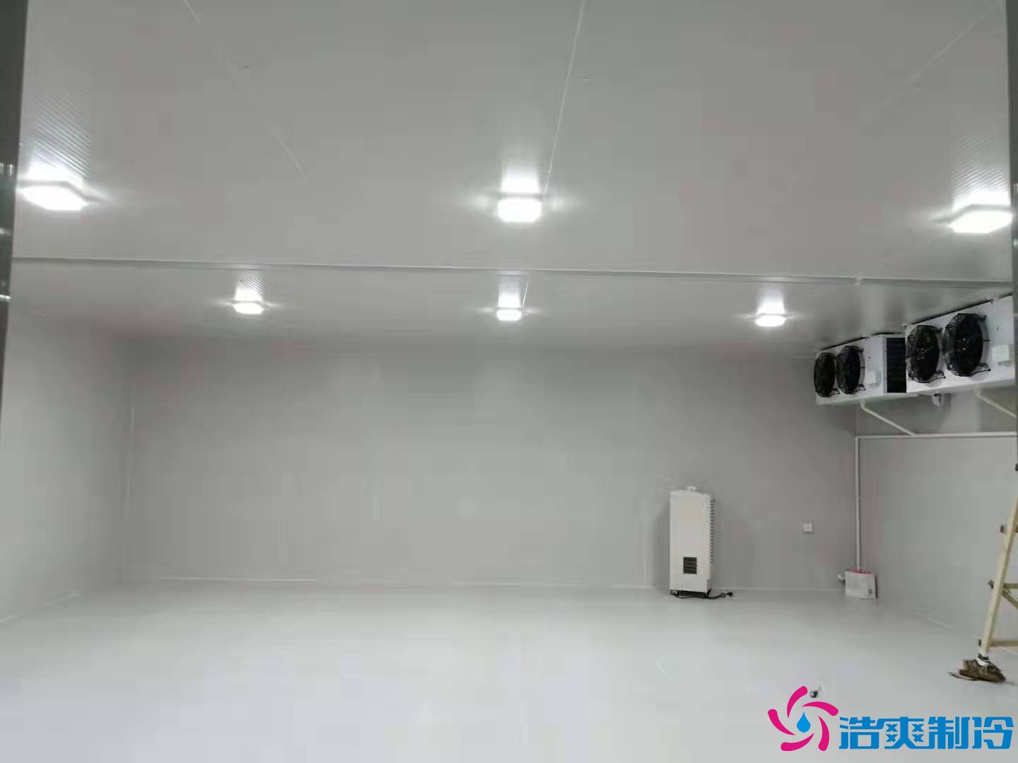 上?；蛏?000m3生物制品冷库（冷冻、冷藏）新建工程案例