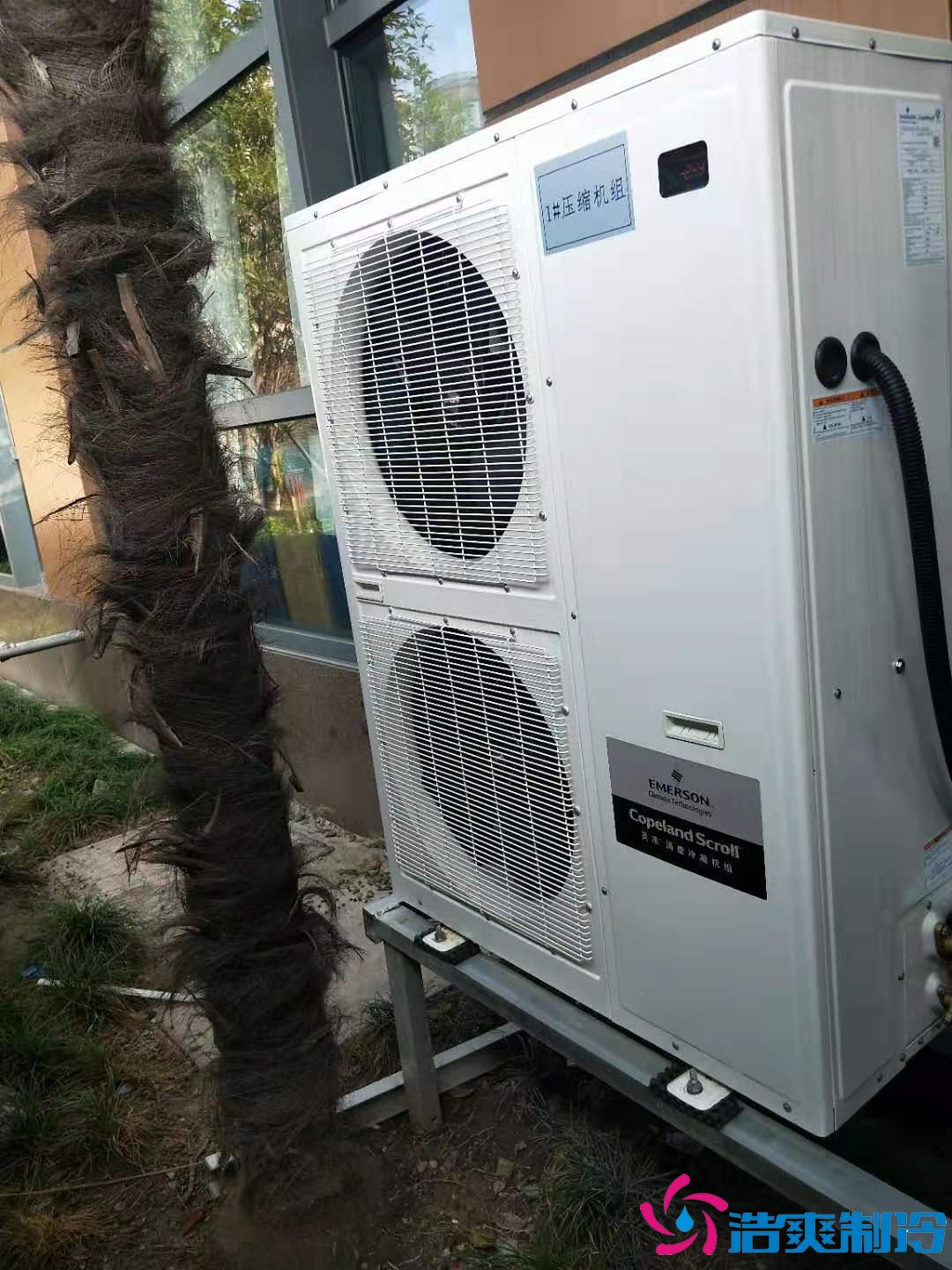 上?；蛏?000m3生物制品冷库（冷冻、冷藏）新建工程案例