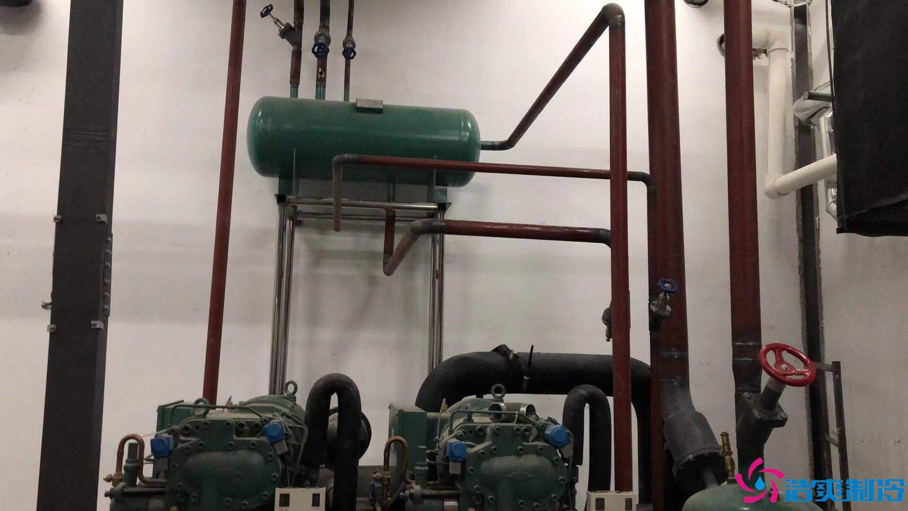 天津真功夫连锁餐饮建造7000m3冷藏、冷冻库新工程案例